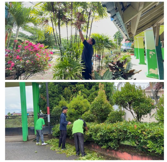 Kekompakan Dewan Guru MAN 2 Bungo Percantik Taman Madrasah