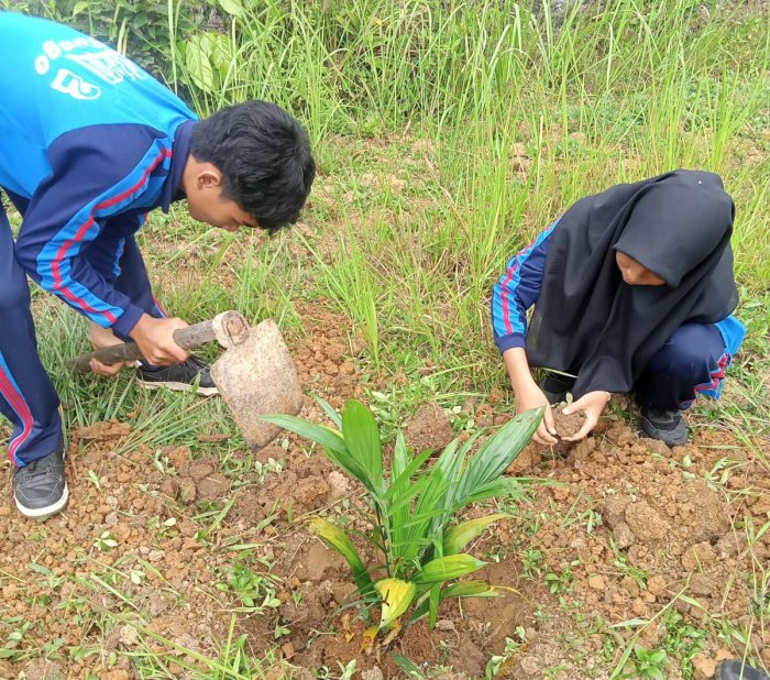 Guru Mulok MAN 2 Bungo Kenalkan Tanaman Sawit: Belajar Pertanian, Menanam Masa Depan