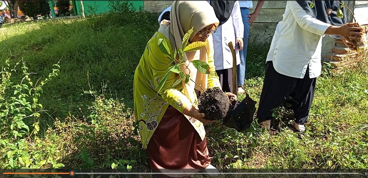 MAN 2 Bungo Tanam 10 Pohon Matoa, Dukung Gerakan Nasional Sejuta Pohon Matoa Kementerian Agama RI